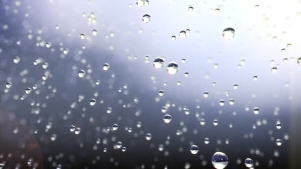 Σταγόνες βροχής κατεψυγμένα — Αρχείο Βίντεο