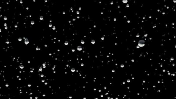 Piękne, krople deszczu na czarny — Wideo stockowe
