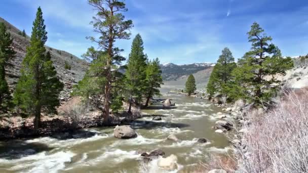 Río de montaña — Vídeos de Stock