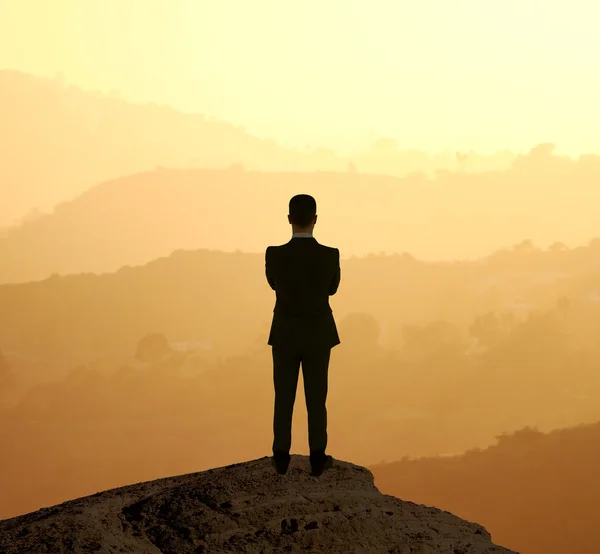 Businessman standing on rock — Stock Photo, Image