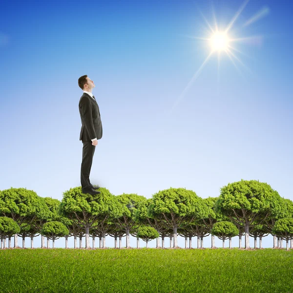 Businessman standing on trees — Stock Photo, Image