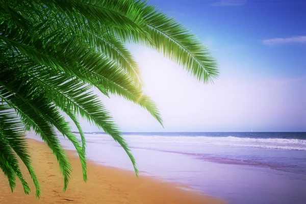 Beach and tropical sea — Stock Photo, Image