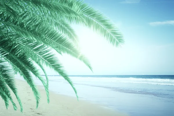 Schöner Strand — Stockfoto