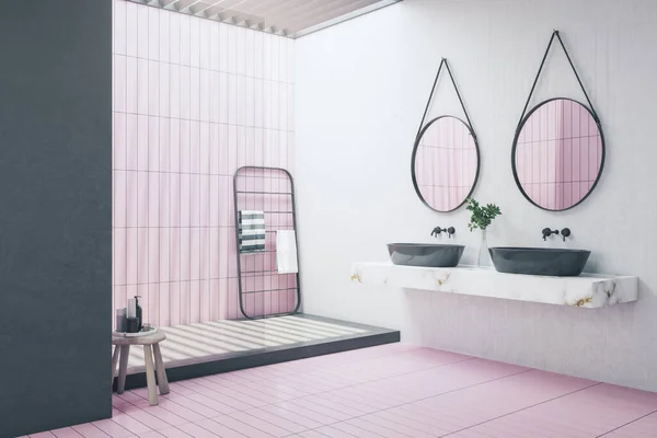 Interior Baño Limpio Con Dos Espejos Planta Decorativa Ducha Otros — Foto de Stock