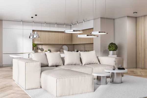 白いソファ付きの高級コンクリートと木製のキッチンスタジオのインテリア デザイン 家庭やアパートのコンセプト 3Dレンダリング — ストック写真