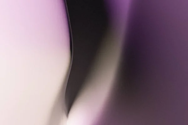 曲線と波と柔らかい紫色のシフォンの背景 デザインと布のコンセプト 3Dレンダリング — ストック写真