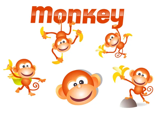 Oryginalny charakter ilustrowany małpa z różnych pozach — Wektor stockowy