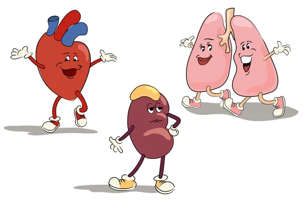 Set di caratteri illustrati degli organi interni umani set 1 — Vettoriale Stock