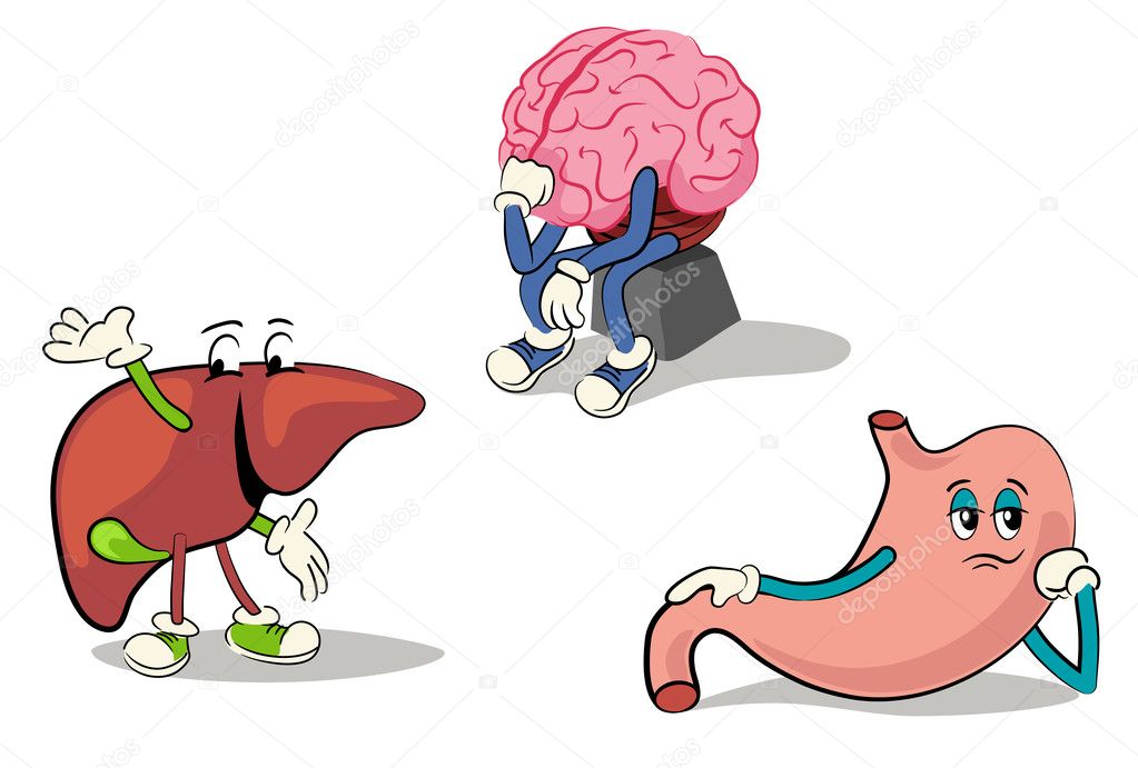 Illustrated character set of human internal organs set 2