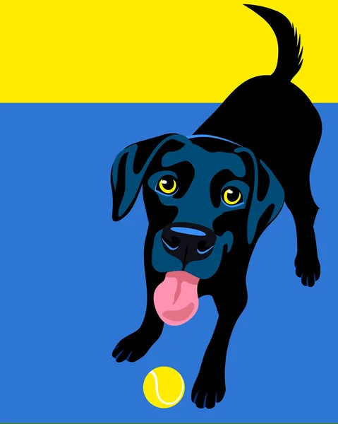 Black Labrador Retriever jugando a buscar — Vector de stock