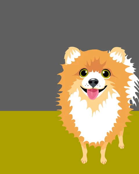 Ilustración de Happy Pomeranian — Vector de stock