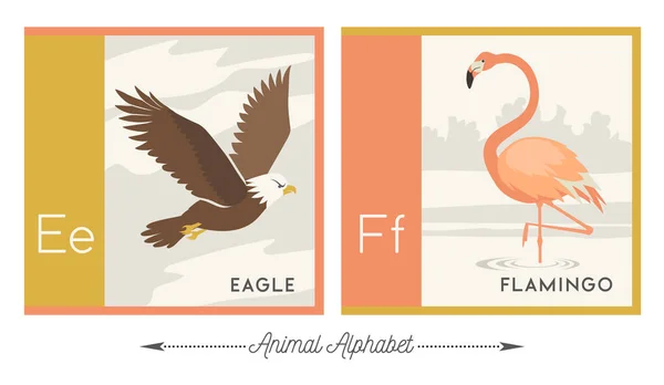 Illustrated Alphabet Animals Kids Letter Eagle Letter Flamingo Vector Collection — Stock Vector