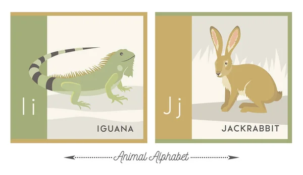 Illustrated Alphabet Animals Kids Letter Iguana Letter Jackrabbit Vector Collection — Stock Vector