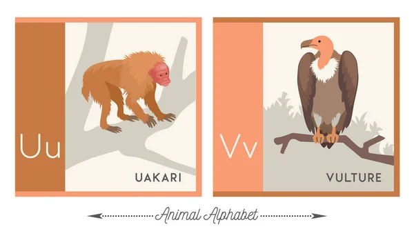 Illustrated Alphabet Animals Kids Letter Uakari Letter Vulture Vector Collection — Stock Vector