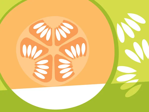 Abstraktes Fruchtdesign Flachen Schnitt Cantaloupe Melone Querschnitt Und Samen Vektorillustration — Stockvektor