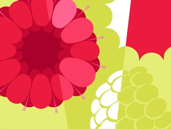 Abstract Fruit Design Flat Cut Out Style Close Raspberry Cross — Image vectorielle