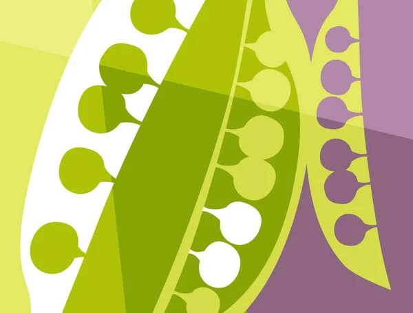 Abstraktes Gemüsedesign Flachen Schnitt Grüne Erbsen Hülsensilhouette Und Querschnitt Vektorillustration — Stockvektor