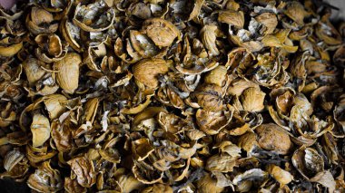 Kırık ceviz kabuklarının yakın görüntüsü 