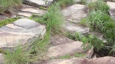 Nehir Capitlio şehrinde, Minas Gerais, Brezilya