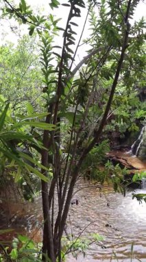 Carrancas şehrinde şelale, Minas Gerais, Brezilya