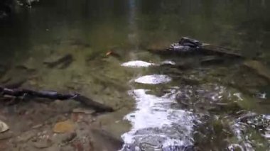 Carrancas şehrinde şelale, Minas Gerais, Brezilya