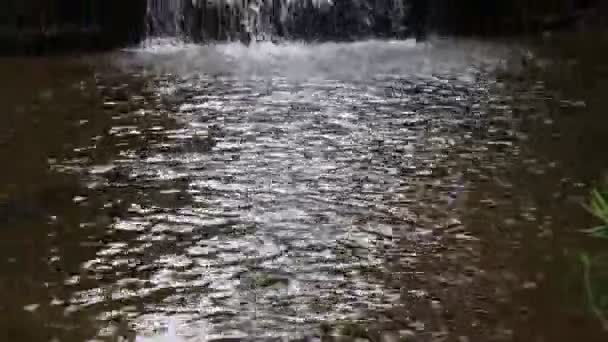 Vízesés Carrancas Városban Minas Gerais Állam Brazília — Stock videók