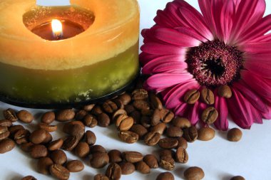 kahve çekirdekleri, mum ve gerbera.
