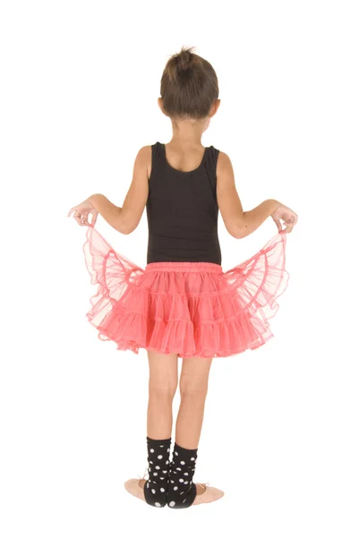 Beautful young ballerina in pink tutu and black leotard from beh — Stock Photo, Image