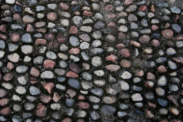 Red and gray cobblestone background city paved road — Stock Photo, Image