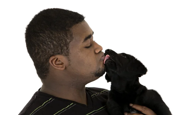 Black model being licked by his labrador puppy dog — Stock Photo, Image