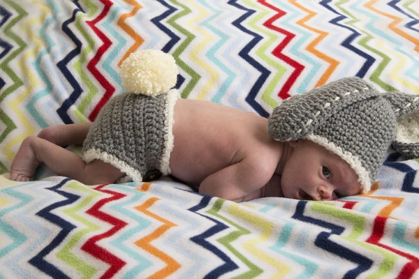 Nyfödd baby boy på chevron filt i bunny outfit — Stockfoto