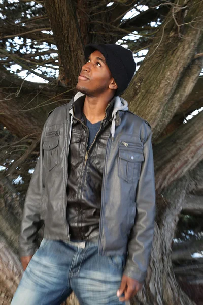 African American man standing by tree looking up — Stock Photo, Image