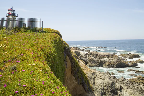 Costa da Califórnia com bandeiras de farol flores e um piquete — Fotografia de Stock