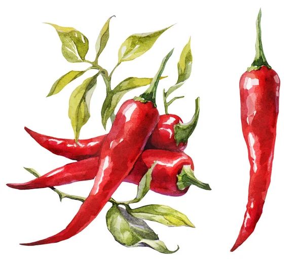 Red Hot Papryka Chilli Zestaw Rysunek Ręczny Akwarela Może Być — Zdjęcie stockowe
