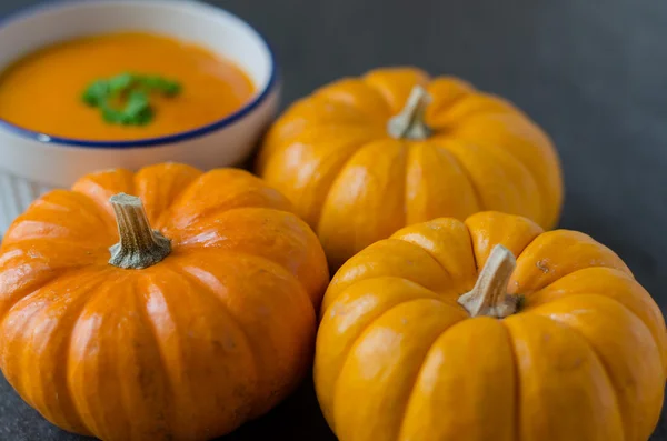 Tök leves és a sor a pumkins — Stock Fotó