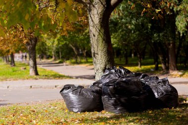 Parkta ve ormanda toplanan çöp ve yapraklarla dolu büyük siyah çantalar.