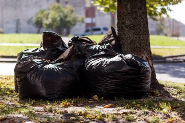 Sonbaharda şehirde toplanan ağlı ve yapraklı büyük siyah çantalar.