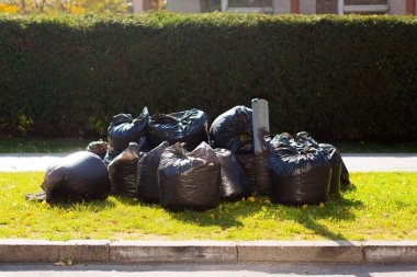 Sonbaharda şehirde toplanan ağlı ve yapraklı büyük siyah çantalar.