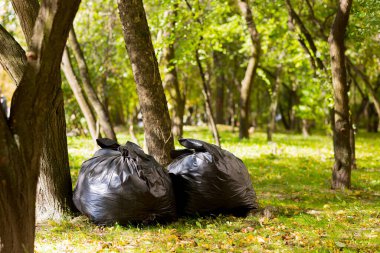 Parkta ve ormanda toplanan çöp ve yapraklarla dolu büyük siyah çantalar.