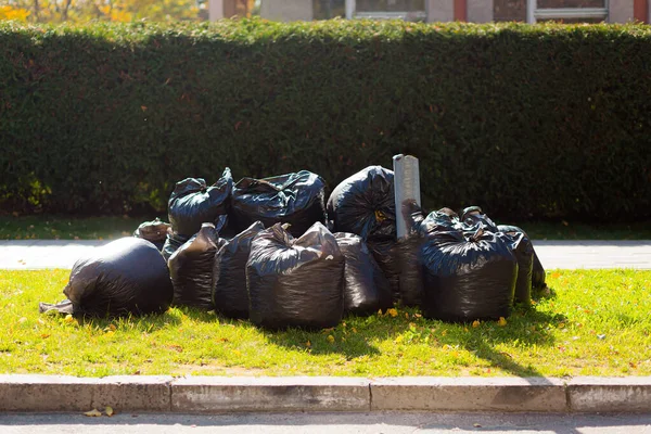 Sonbaharda şehirde toplanan ağlı ve yapraklı büyük siyah çantalar.