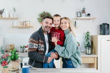 Mutfakta oğlu olan genç bir aile bayramlarda sevinir. Bir koca, bir eş ve küçük bir oğlan birlikte eğlenir. Yeni yıl ve Noel tatillerinde sarılıp oynarlar.
