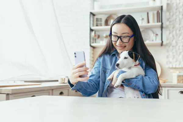 Young beautiful asian woman with pet jack russell terrier talking on video call with friends, woman at home in kitchen using smartphone for remote communication.