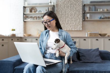 Genç, güzel Asyalı bir kadın kanepeye oturmuş ve bilgisayarla video görüşmesi yapıyor. Evcil köpeği Jack Russell Terrier 'la uzaktan kumandalı arkadaşlarıyla konuşuyor..