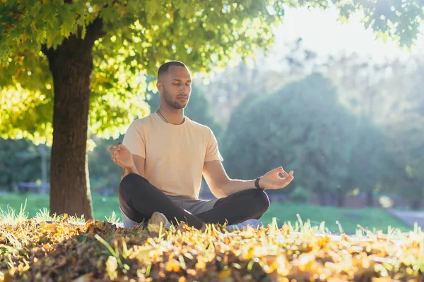 Genç Bir Adam Gün Batımında Parkta Meditasyon Yapar Lotus Pozisyonundaki — Stok fotoğraf