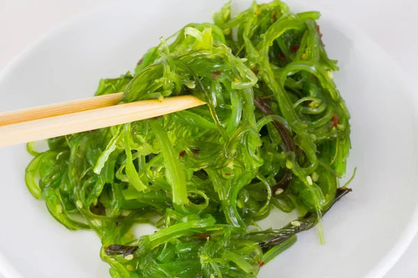 Ensalada chuka con palillos en plato blanco — Foto de Stock