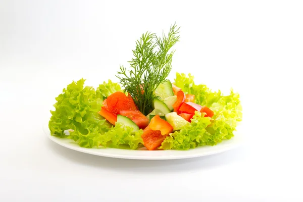 净资产收益率蔬菜 — 图库照片