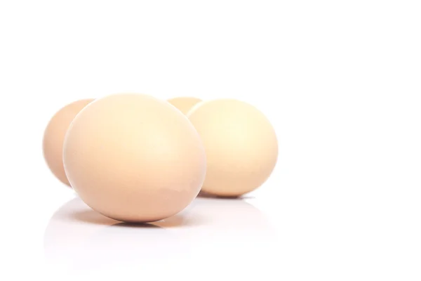 Ägg isolerade på vit bakgrund — Stockfoto