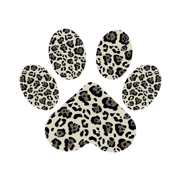 Pata Manchada Gato Cachorro Urso Fundo Branco Impressão Jaguar Moda — Fotografia de Stock