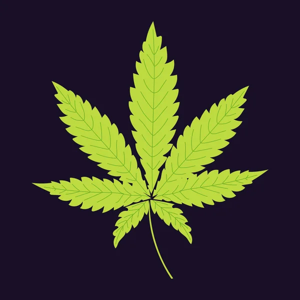 Marijuana Green Leaf Dark Purple Background Pattern Narcotic Plant — Stock Photo, Image