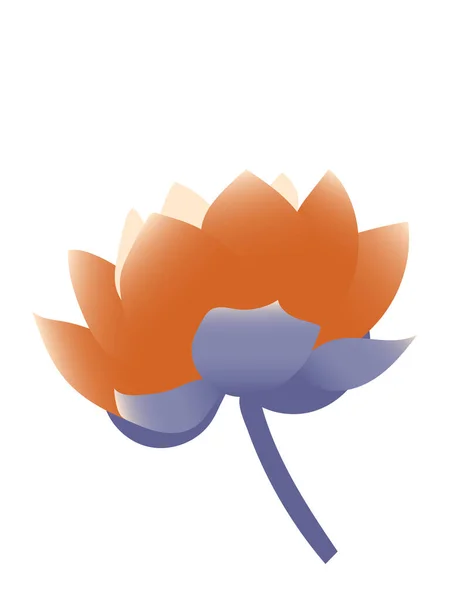 Lotusblüte Isoliert Auf Weißem Hintergrund Seerose Gefälle Niedliches Modernes Poster — Stockfoto